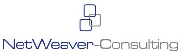 NetWeaver-Consulting